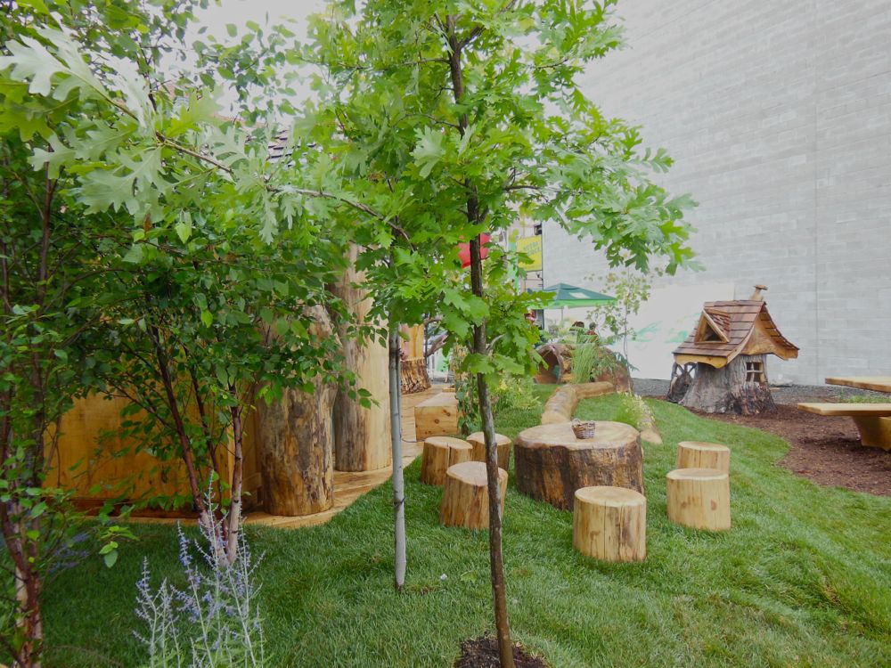 TD FEF POP-UP PARK
